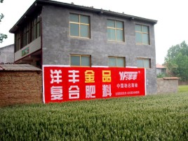 遵义如何让墙体广告展现最大化效果