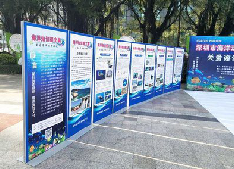 遵义KT板的种类和知识。